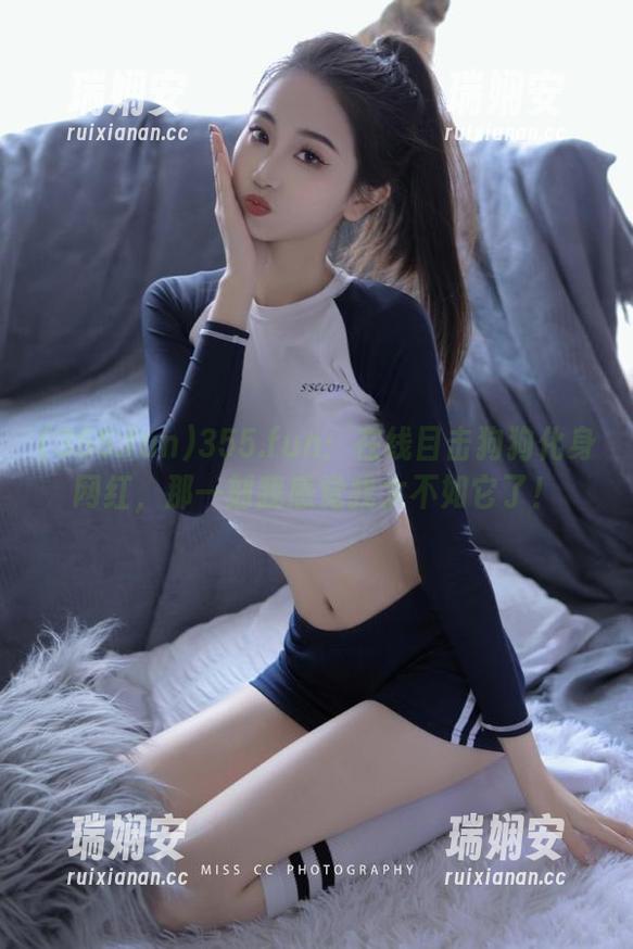 355.fun：在线目击狗狗化身网红，那一刻我感觉我太不如它了！