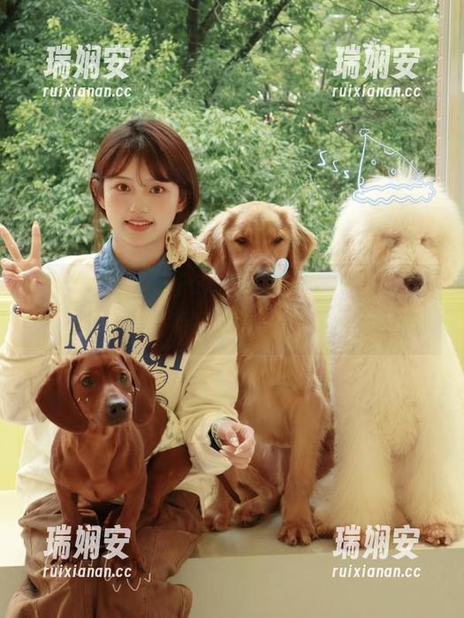 分享那些值得铭记的土豆、茄子时刻，51免费吃瓜等你来玩！