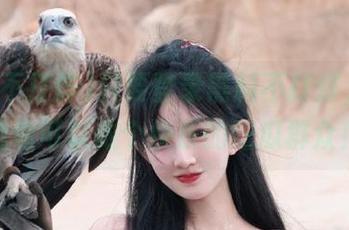 只要登录黑料不打烊，就连我也可以做个快乐的吃瓜群众！