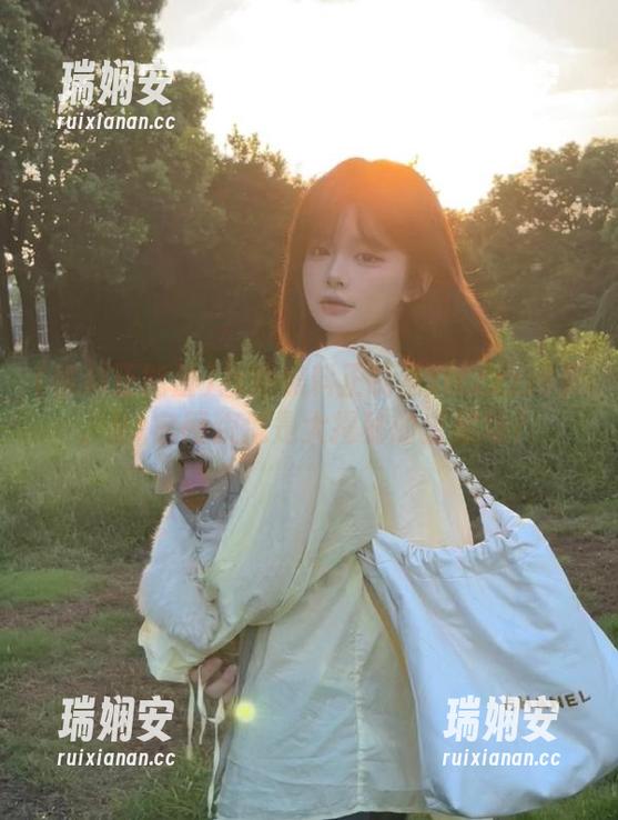 找到黑料正能量tttzzz网页，91官网貌似是大揭秘的宝藏地？